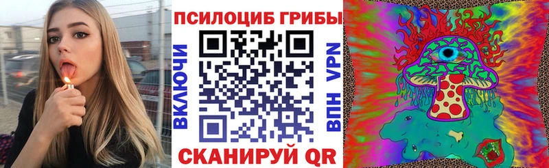 Псилоцибиновые грибы Cubensis нарко площадка формула Чегем