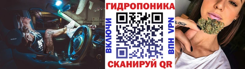 Марихуана OG Kush Чегем